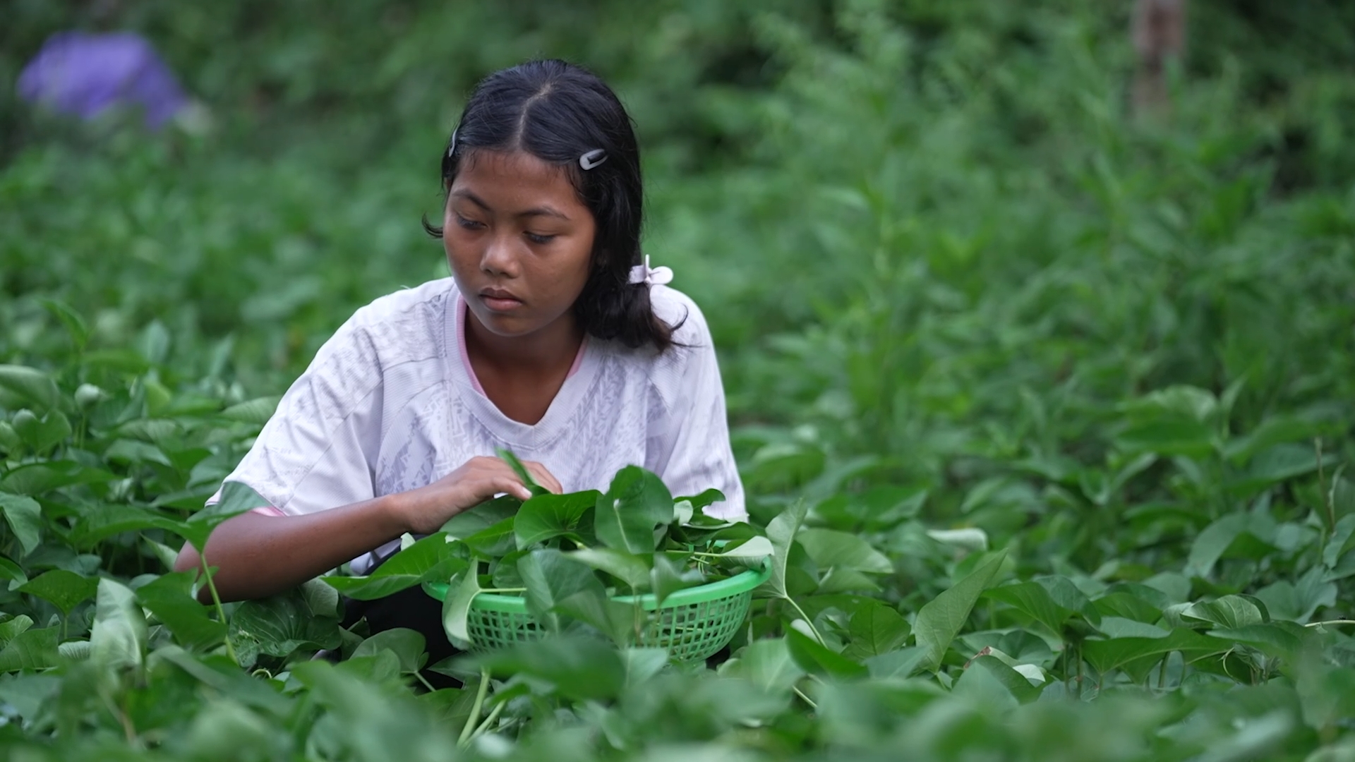 Mai trở thành chỗ dựa tinh thần, chăm lo cho hai em gái sau biến cố mất cha mẹ