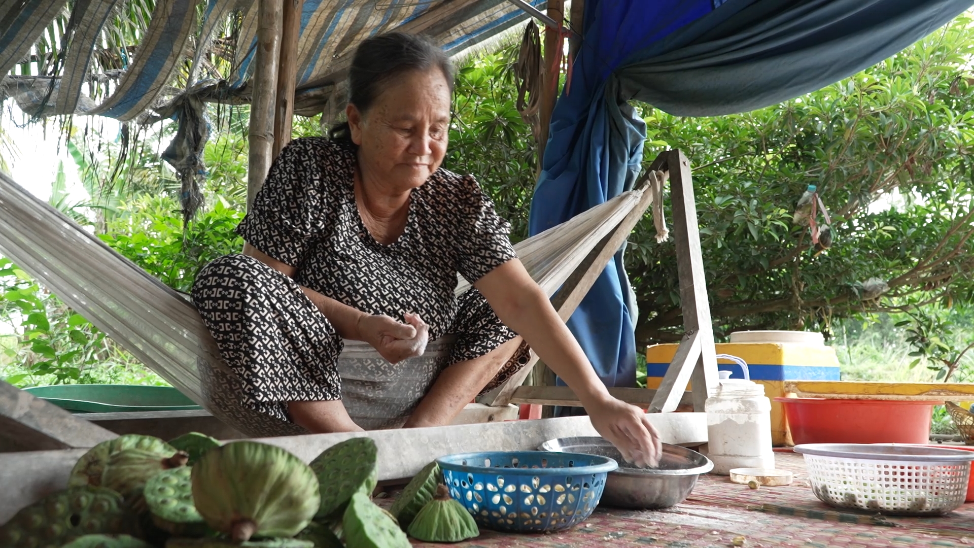Đôi tay đã chai sần theo năm tháng vẫn miệt mài lột từng hạt sen, bà Tuyết chỉ mong có thể nuôi hai cháu ngoại trưởng thành