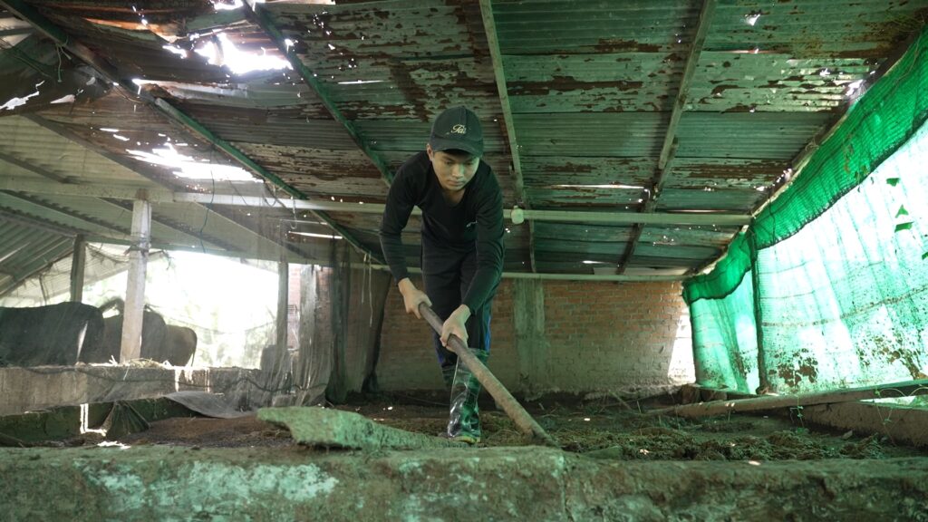 Phía sau vóc dáng nhỏ bé của cậu học sinh lớp 10 là nỗi lo cơm áo và trách nhiệm chăm sóc em trai khi bà nội ngày càng yếu sức